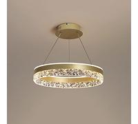 LIUNJHUY LED Round Chandelier Ceiling Light Postmodern Pendant Lamp, 3 Color Mode Hanging Lighting Fixture 50W Suspended Lamps for Dining Table Kitchen Island Bedroom Restaurant Interesting