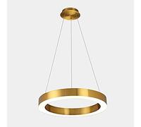 LIUNJHUY Nordic Chandelier Modern LED Ring Pendant Light Brushed Gold Acrylic Light Shade Bar Restaurant LED Ceiling Light Fixture Dining Room Bedroom Living Room Decor Suspension Lamp Interesting