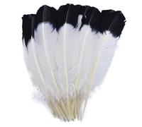 LIUXIN 10Pcs/Lot Turkey Wing Quill Feather Black Tipped Imitation Eagle Feathers for Crafts Manmade Decorations DIY Carnaval Assesoires