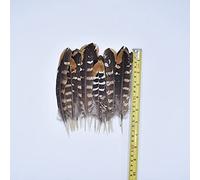 LIUXIN 10Pcs Real Natural Eagle Feathers for Decoration Crafts Carnival Jewelry Handicrafts Accessories Feather Decor