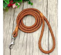 LIUXIN Rolled Leather Dog Leash For Small Medium Dogs Braided Leather Puppy Cat Pet Walking Leash Leads Brown Color 4ft Long