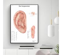 LIUZHUANGDIAN Ear Acupuncture Poster Traditional Chinese Medicine Canvas Painting Wall Art Picture Print Doctor Office Home Decor-40x60cm Unframed