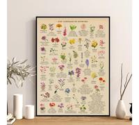 LIUZHUANGDIAN Flower Language Meaning Chart Poster Flowers Plants Vintage Canvas Painting Wall Art Picture Print Living Room Home Decor-40x60cm Unframed