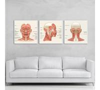 LIUZHUANGDIAN The Neck Muscles Head Face Muscles Poster Medical Anatomy Canvas Painting Wall Art Picture Print Clinic Home Decor-50x50cmx3 Unframed