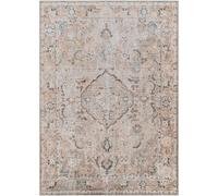 Surya Clara Lake Machine Washable Traditionnal Boho Taupe Area Rug 160 X 213 Cm