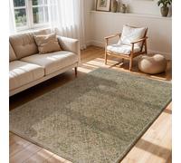 Livabliss Galey Alix Myrtle Avenue II-Vintage Brown Green Grey Traditional Boho Fringe Living Rug | Size: 120 cm x 170 cm Livabliss Green 120 cm x 170 cm
