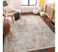 Livabliss Machine Washable Traditionnal Boho Clara Area Rug in Taupe | Size: 200 cm x 275 cm Livabliss Taupe 200 cm x 275 cm