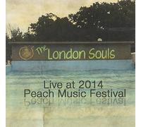 Live at Peach Music Festival 2014