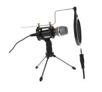 Live Broadcast Microphone for Computer and Mobile Phone Black | Recording and Karaoke Use, Heart-shaped Design, with Adjustable Holder, Abs and Electronic Components