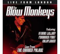 The Blow Monkeys - Live From London