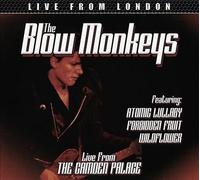 The Blow Monkeys - Live From London