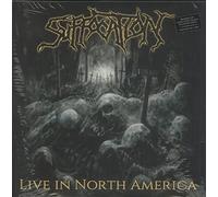 Live In North America Gold & Black Splatter I