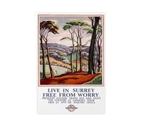 Live in Surrey British Railways Travel Canvas Poster Bedroom Decor Landscape Office Room Decor Gift 12x18inch(30x45cm)