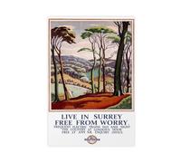 Live in Surrey British Railways Travel Portrait Canvas Poster Bedroom Decor Landscape Office Room Decor Gift 12x18inch(30x45cm)