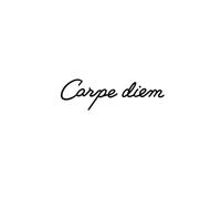 Live In The Moment Clavicle Arm Herbal Temporary Tattoo Sticker, Semi-permanent Non-reflective, Waterproof And Lasting For 2 Weeks, Fake Tattoos