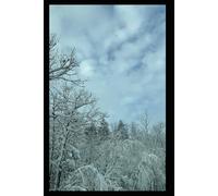 Live.Love.Nature. Winter 1