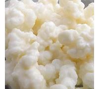 Live Milk Kefir Grains to make kefir milk drink