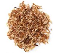 LIVE! Mini Mealworms Live Mini Mealworms For Birds - 13 to 18mm Live Food for Reptiles & Garden Birds | Wild Bird Feeding Young Mini Meal Worms (120g)
