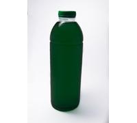 Live Phytoplankton Nannochloropsis Salina for Nutrient Binding and Feeding in the Aquarium, Nitrate & Phosphate Reducer, Coral Food