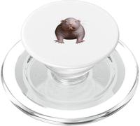 Live Weird Funny Naked Mole Rat Strange Animal PopSockets PopGrip for MagSafe