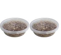 Livefood UK Live Mealworms Regular size Letterbox pack (2 x 30g) will fit through standard letterbox
