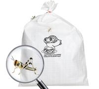 Livefoods4u Live Locusts Large x 100 (2-3.5cm) Reptile and Lizard Live