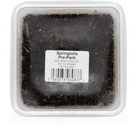Livefoods4u Live Springtails Bulk Pack | Bioactive Terrarium Clean-Up Crew