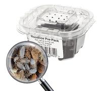 Livefoods4u Live Tropical Grey Woodlice Isopods (5mm) - Livefood for Small Reptiles and Amphibians and for Bioactive Set Ups
