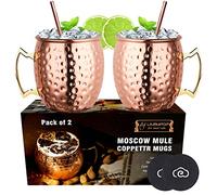 LIVEHITOP Moscow Mule Copper Mugs Set of 2 PC,18 Oz Copper Cup with Coasters for Cocktail, Wine, Beer, Cold Drink, Home, Bar, Party, Gifts (Pack of 2)