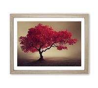 Lively Apple Tree Framed Print | A2 Oak Framed Wall Art | Ready to Hang | Modern Floral Picture | Living Room Bedroom Lounge Office