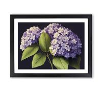 Lively Hydrangea Flowers BLK Framed Print | A2 Black Framed Wall Art | Ready to Hang | Modern Floral Picture | Living Room Bedroom Lounge Office