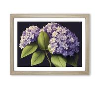 Lively Hydrangea Flowers BLK Framed Print | A4 Oak Framed Wall Art | Ready to Hang | Modern Floral Picture | Living Room Bedroom Lounge Office