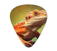 Lively lizards Prints Guitar Picks - 12-Piece Set with 3 Different Thicknesses, Suitable for Electric and Acoustic Guitars