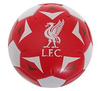 Liverpool 4" Soft Ball - One Size