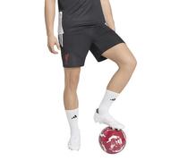 Liverpool adidas Training Shorts - Black