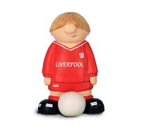 Liverpool Cake Topper FC - Personalised Birthday Keepsake Set Cake Decorations. Custom Chelsea Fan Birthday Anniversary Celebration Kids Cake Decor Unique