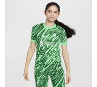 Liverpool F.C. 2024/25 Stadium Goalkeeper Third Older Kids' Nike Dri-FIT Football Replica Short-Sleeve Shirt - Green - Polyester L