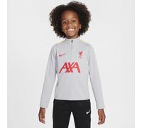 Liverpool F.C. Academy Pro Third Younger Kids' Nike Dri-FIT Football Knit Drill Top - Grey - Polyester L