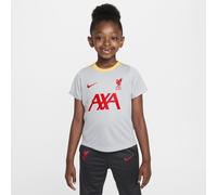 Liverpool F.C. Academy Pro Third Younger Kids' Nike Dri-FIT Football Short-Sleeve Top - Grey - Polyester XS