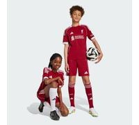 LFC adidas Youth 25/26 Home Shorts