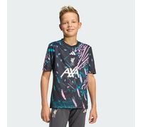 adidas Liverpool 25/26 Pre-Match Football Jersey Jnr YXL 15-16Yr