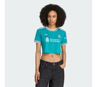 Liverpool FC 25/26 Third Cropped Jersey