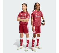 adidas Liverpool Home Short 2026/27 Juniors 11-12 Years Red