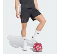 Liverpool FC 26/27 Tiro Training Shorts