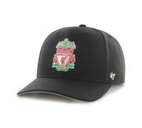 Liverpool FC Baseball Cap MVP DP Cold Zone Black EPL 194602398365