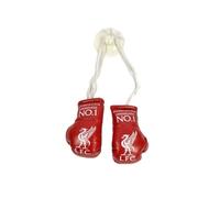 Liverpool FC Car Hangers Boxing Gloves