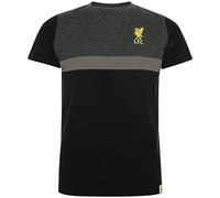 Liverpool FC Childrens/Kids Panel T-Shirt (5-6 Years) (Black/Charcoal/Gold)