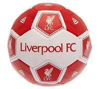 Liverpool FC Football Size 3 HX