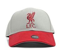 Liverpool FC Mass Two Tone Grey Red Strapback Cap