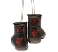 Liverpool FC Mini Boxing Gloves BK
